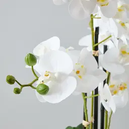 56cm Phalaenopsis Decorative Plant With Pot