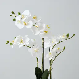 56cm Phalaenopsis Decorative Plant With Pot