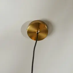 Selene Brushed Gold Metal Chandelier - 28 cm Black Metal Shade