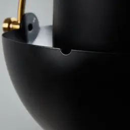 Selene Brushed Gold Metal Chandelier - 38 cm Black Metal Shade