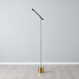 Kaia Brushed Gold Metal Floor Lamp Black Frosted Metal Shade