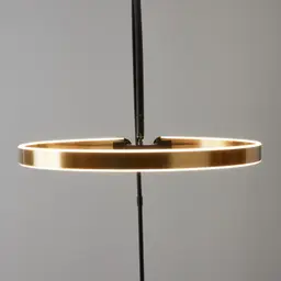 Halo Black Metal Floor Lamp-Brushed Gold Metal Ring