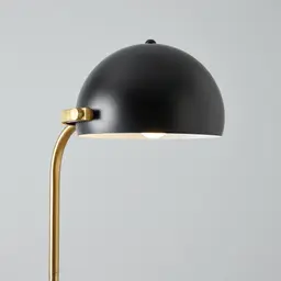 Carly Brushed Gold Metal Floor Lamp Black Metal Shade
