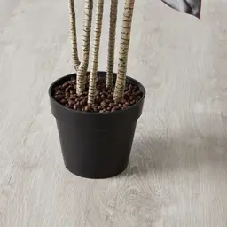 180cm Cordyline Fruticosa II Decorative Plant with Pot