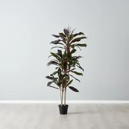 180cm Cordyline Fruticosa II Decorative Plant with Pot