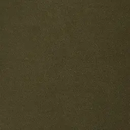 Stellan Olive Green Velvet Occasional Chair-Brushed Gold Legs