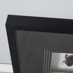 Lone Beetle Paper Shadow Box with Black Frame