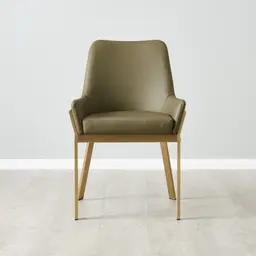 Arya II Sage Green Vegan Leather Dining Chair - Brushed Gold Metal Legs