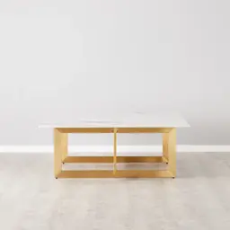 Dianne White Grey-Streaked Sintered Stone Coffee Table - Brushed Gold Stainless Steel Frame