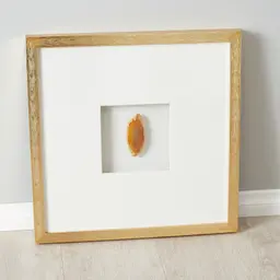 Terra Brown Agate Shadow Box With Gold Frame