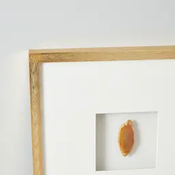 Terra Brown Agate Shadow Box With Gold Frame