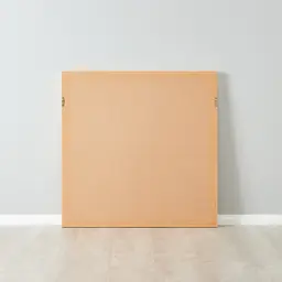 Ophir Large Shadow Box With Golden Frame