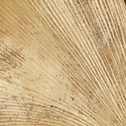 Ginkgo Resin Wall Decorative - Small