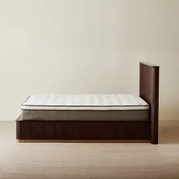 San Pierre Ebony Brown Ash Veneer Queen Bed	